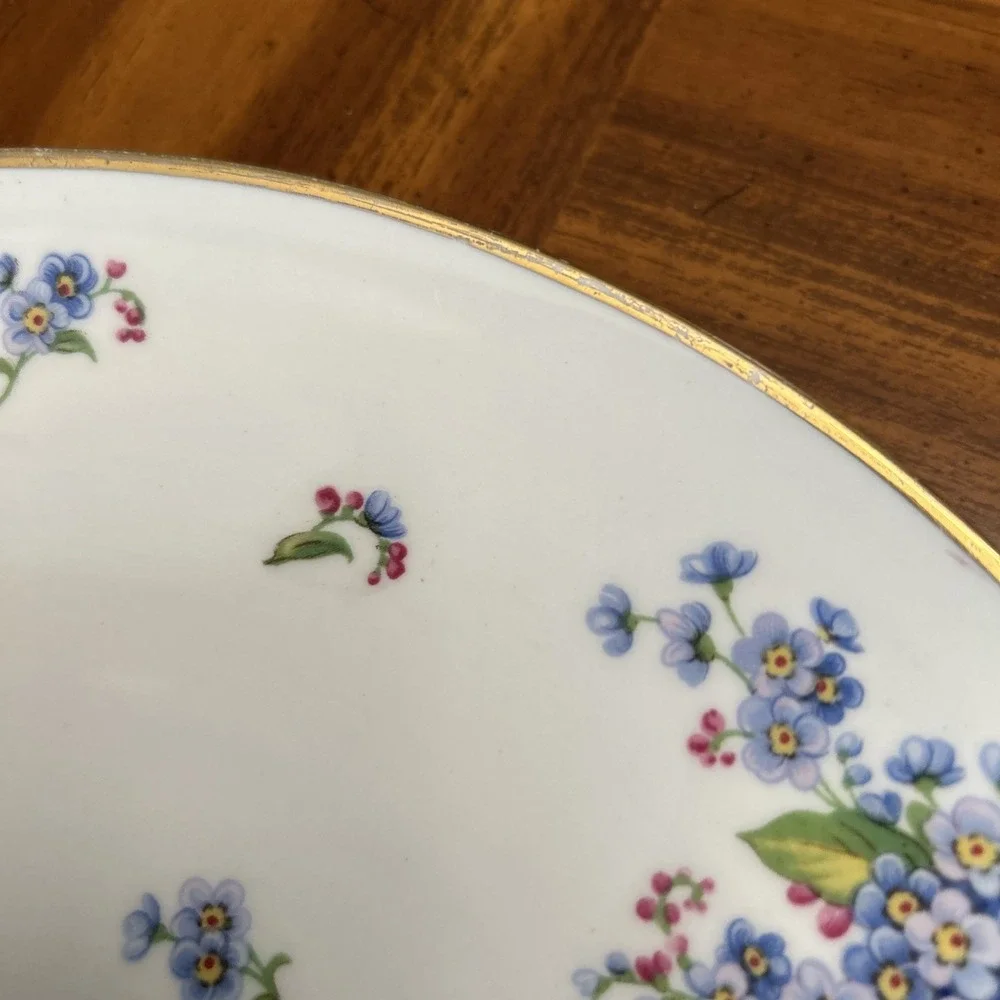 Tuscan Fine English Bone China Forget Me Not Plate 10‎ Inch